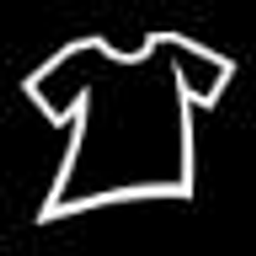 Your Prompt, your shirt!