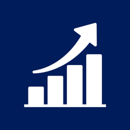 SelfBizz: Invoices & Analytics