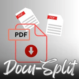 DocuSplit