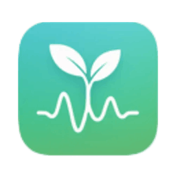 Pomodoro Timer for Mental Focus