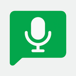 Google Meet Transcription