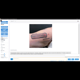HugstonOne 1.0.3,  AI with vision