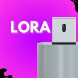 LORA AI Vision Assistant