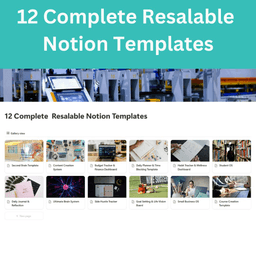 12 Complete Resalable Notion Templates