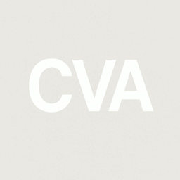 CV Audit