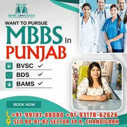  Tips Collaborating MBBS Consultants 