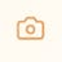 Camera Shutter Counter