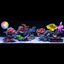 CoralScape.app