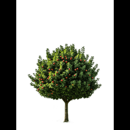 Free AI Background Remover