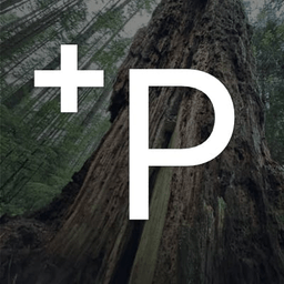 +Prompter (Positive prompter)