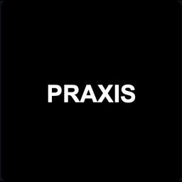 Praxis 