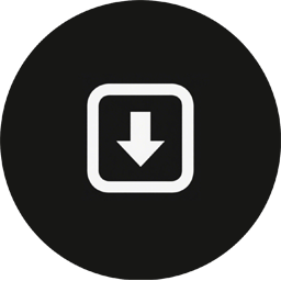 X Twitter Video Downloader