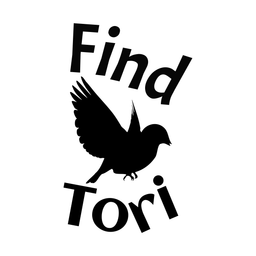 FindTori