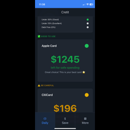 Daily Credit Card Traffic Lights