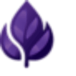 Purple Leaf