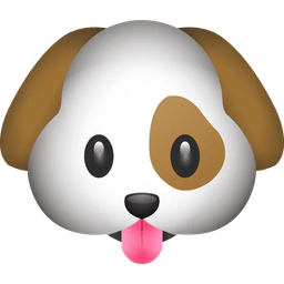 DataSag