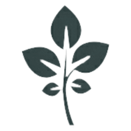 GrapeVine Social Official Launch 