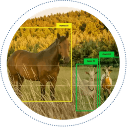 Animal Recognition AI