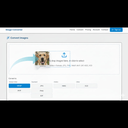 RaimonVibe Image Converter