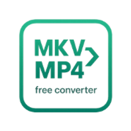 MKV to MP4 Converter