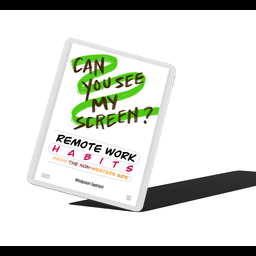 E-Book “Can You See My Screen?”