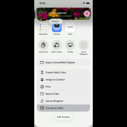 Simplest JPEG converter