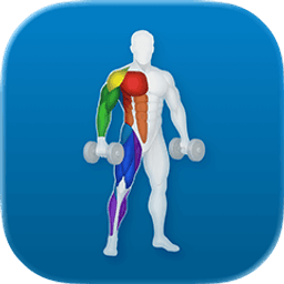 VigiGym — Workout Tracker