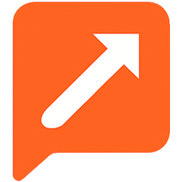 Akii AI Visibility Score