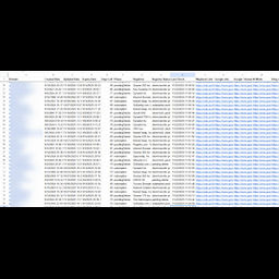 Domain Monitor: WHOIS & Wayback AI
