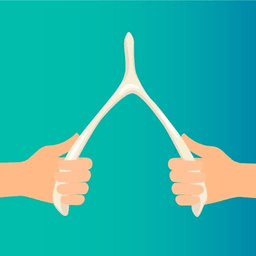 Wishbone Snap on iOS