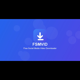 FSMVID