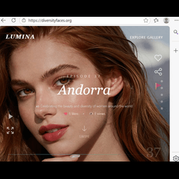  DiversityFaces / LUMINA Gallery