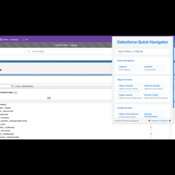 Salesforce Quick Navigator