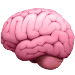 Pocket Brain