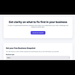 AI Business Snapshot