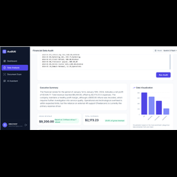 AuditAI - Financial Assistant