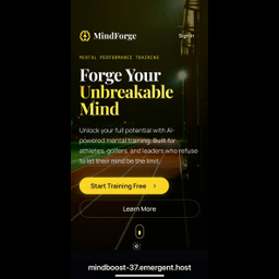 Mental Performance Training