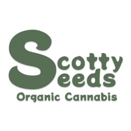 Cannabis Law Checker