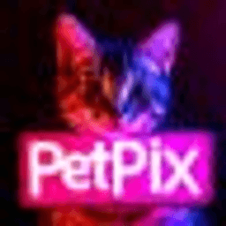 PetPix AI