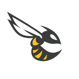 Betaflight version manager